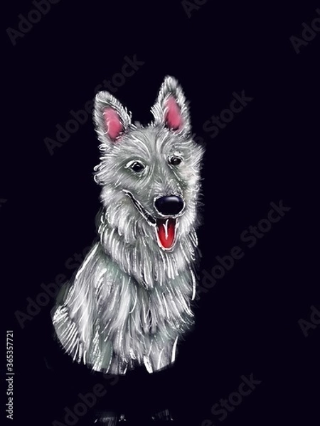 Obraz black and white dog