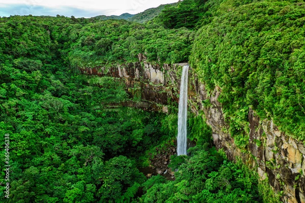 Obraz 西表島 ピナイサーラの滝