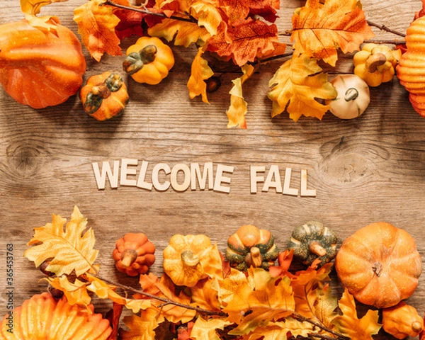 Obraz beautiful welcome fall composition