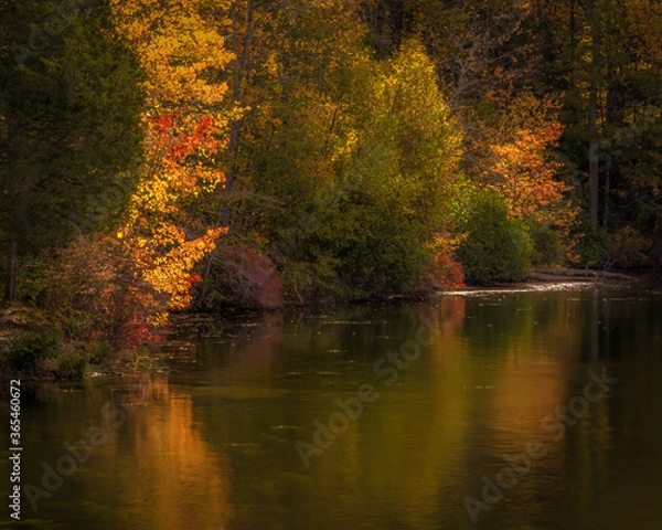 Fototapeta JayOBrien/JaynesGallery/DantaDelimont.com