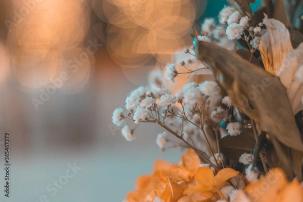 Obraz HERMOSAS FLORES DE PRIMAVERA