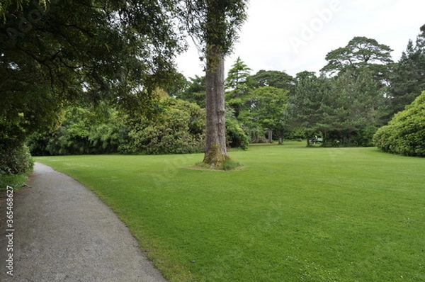 Obraz Gardens in Killarney national park, Ireland