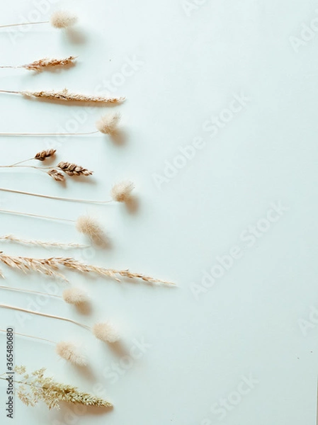 Fototapeta Set of wild ripe herbs grass and twigs, natural field plants, color floral elements, beautiful decorative floral composition isolated on light background, macro, flat lay, top view.