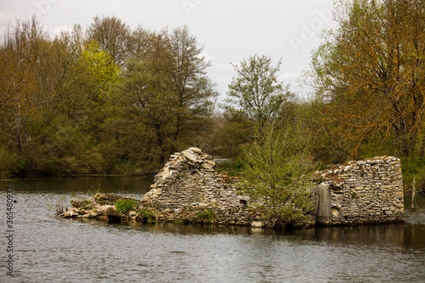 Obraz old broken ruin engulfed of a lake in the forest