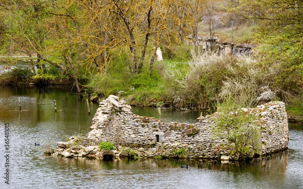 Obraz old broken ruin engulfed of a lake in the forest