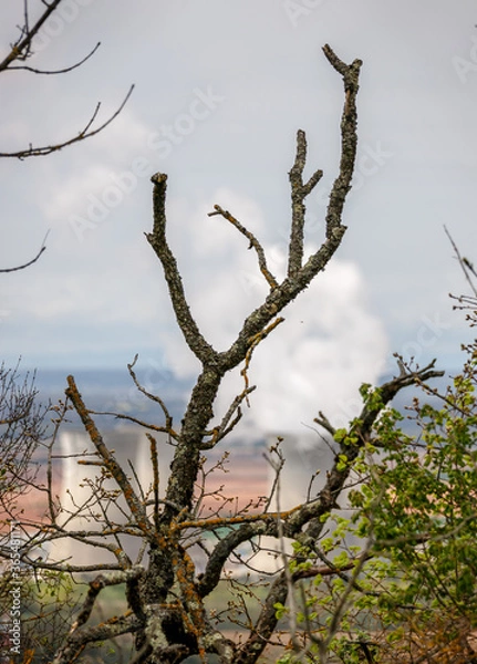 Obraz dead tree branches with bokeh of cooling towers of a nuclear power plant in the coutryside