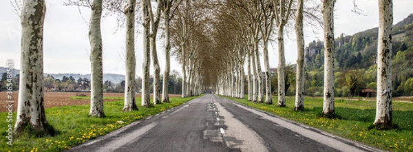 Obraz alley old patched road in the countryside with hills and green grass 