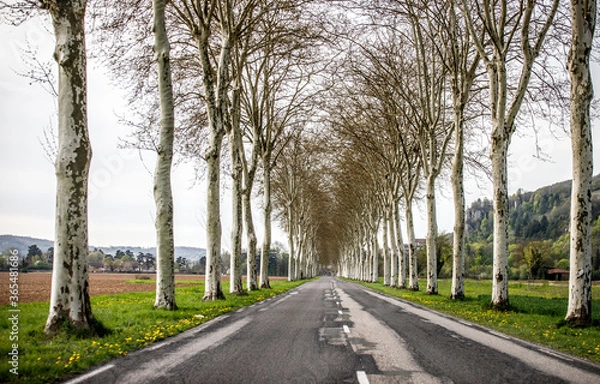 Obraz alley old patched road in the countryside with hills and green grass 