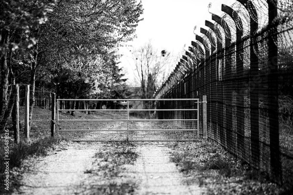 Obraz black and white metal gate with a high fence on a forest road