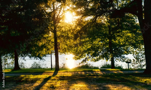 Obraz sunset in the park