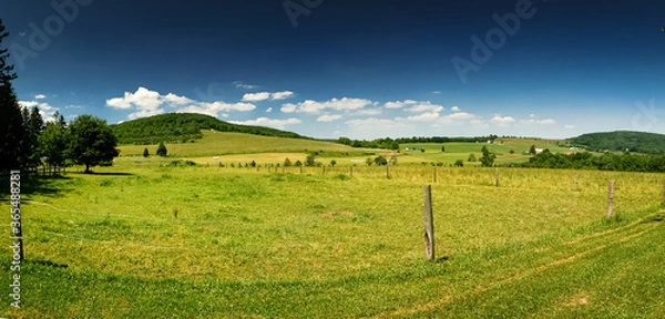 Obraz Blue Sky Meadow 