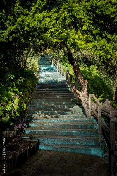 Obraz Turquoise blue stairs with wooden railings in the field