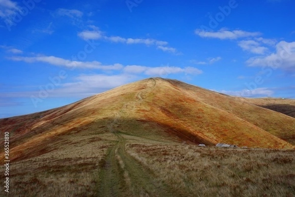 Obraz Road to the mountains