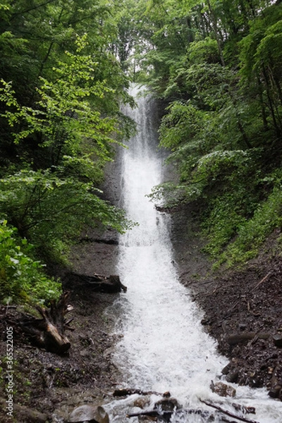 Obraz Waterfall in the forest