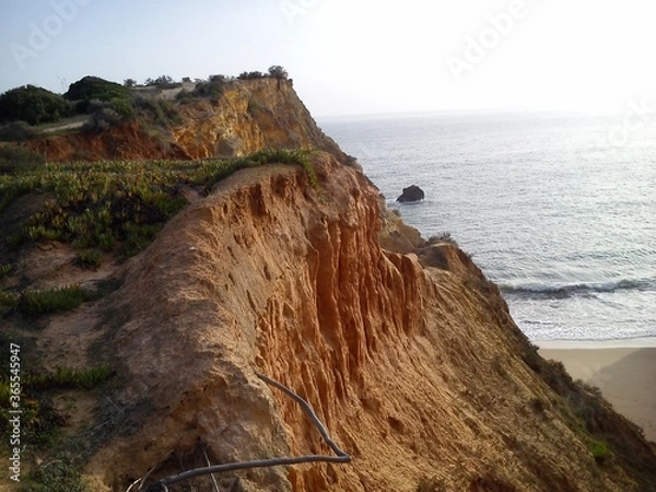 Fototapeta Krajobraz