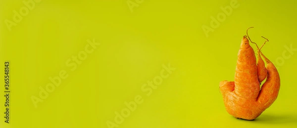 Fototapeta Ugly carrots on a green background. Banner. Trendy ugly organic vegetables. Cooking an ugly food concept. Non-GMO. Minimalism, pop art style. Space for advertising text