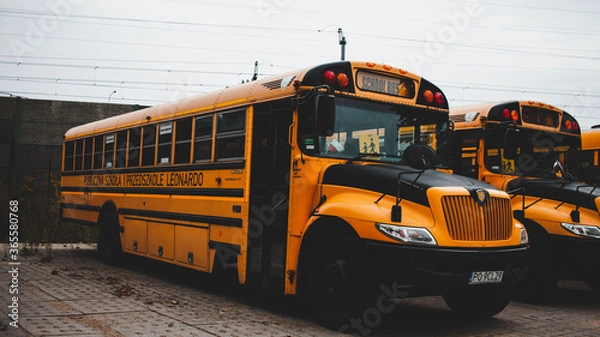 Obraz school bus