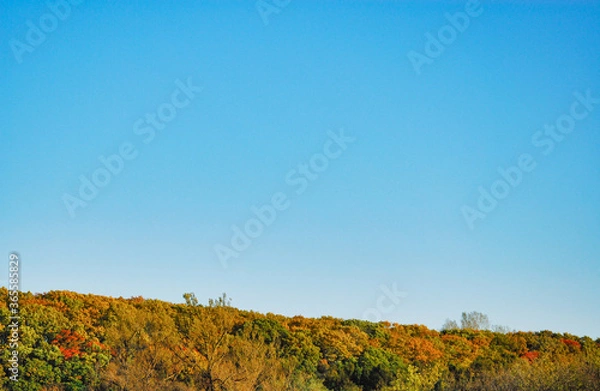 Fototapeta 秋　素材