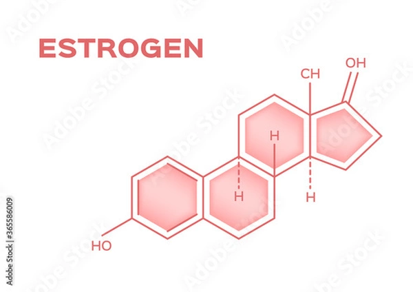 Obraz sex hormones , estrogen vector