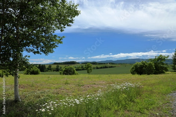 Obraz ある夏の日