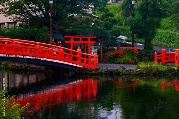 Obraz 池に映る鳥居