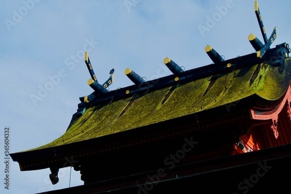 Obraz 神社の屋根