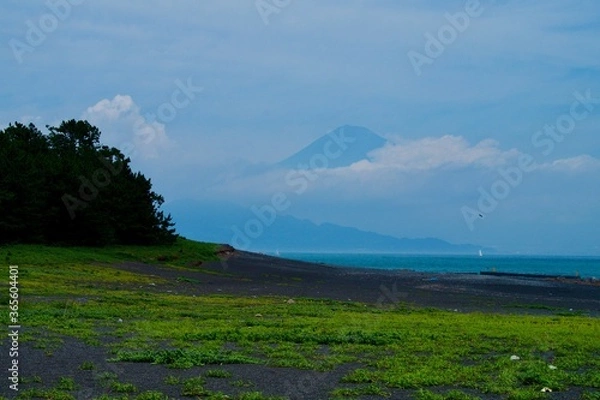 Obraz 美穂の松原