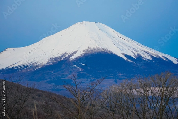 Fototapeta 早春の三国峠から富士山　