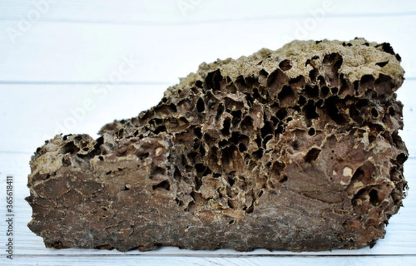Obraz Brown termite nest isolated on white table