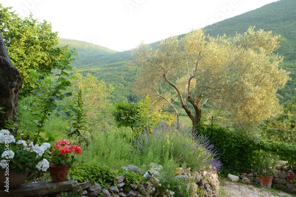 Obraz Italienischer Garten