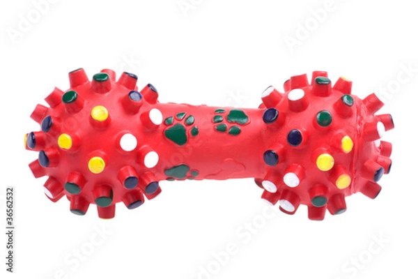 Obraz dog toy