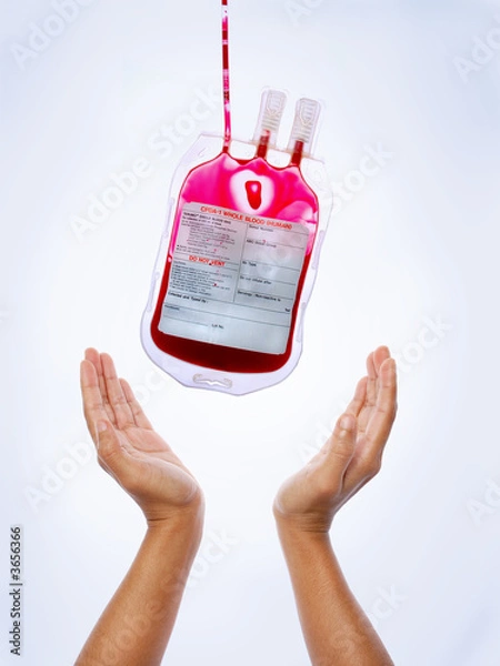 Obraz Blood  donation