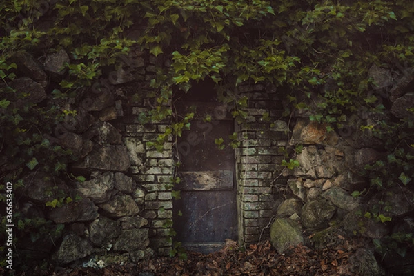 Obraz Strange door covered by ivy