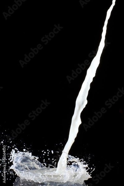 Obraz Splashing milk