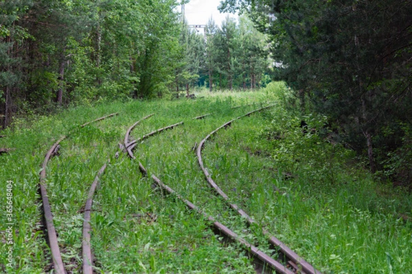 Obraz Railroad for a train in the grass. abandoned railway
