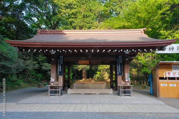 Fototapeta 明治神宮 手水舎