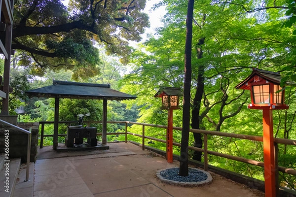 Fototapeta 等々力不動尊 境内