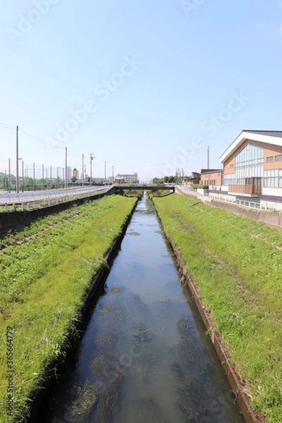 Obraz 初夏の小川