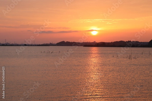 Obraz 湖に落ちる太陽