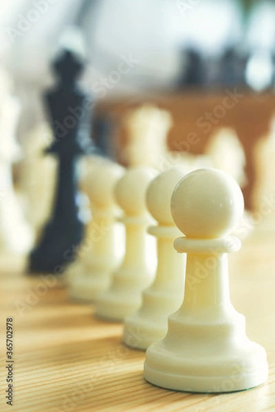 Fototapeta chess pawns lined up in a row , Leader success concept
