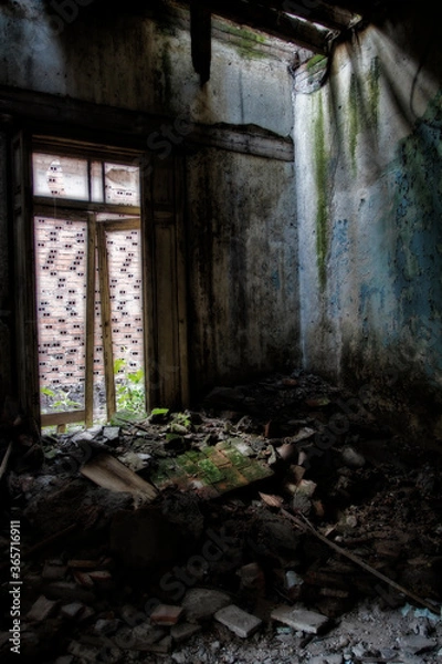 Obraz Vida en el abandono