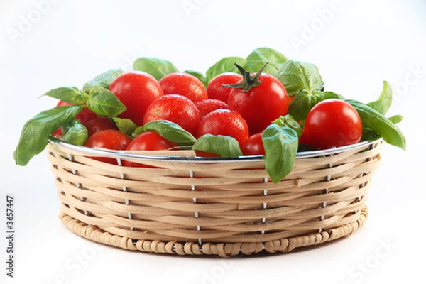 Obraz Tomate und Basilikum