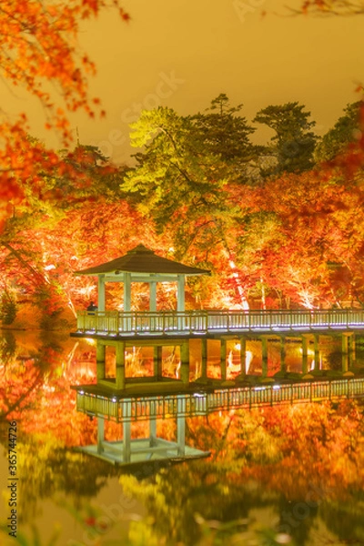 Obraz 紅葉　岡崎東公園