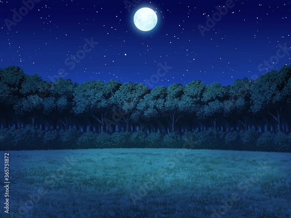 Fototapeta 森の外