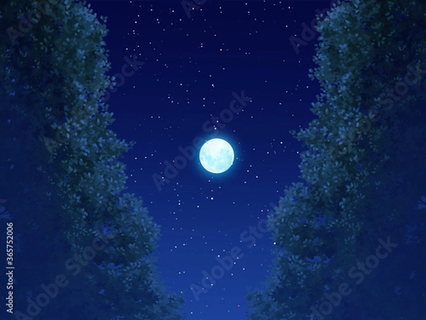 Obraz 森夜あおり２