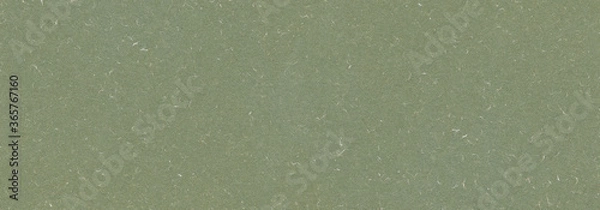 Obraz Olive green paper texture background