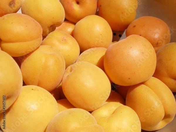 Obraz abricots