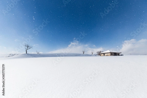 Fototapeta snow-covered landscape