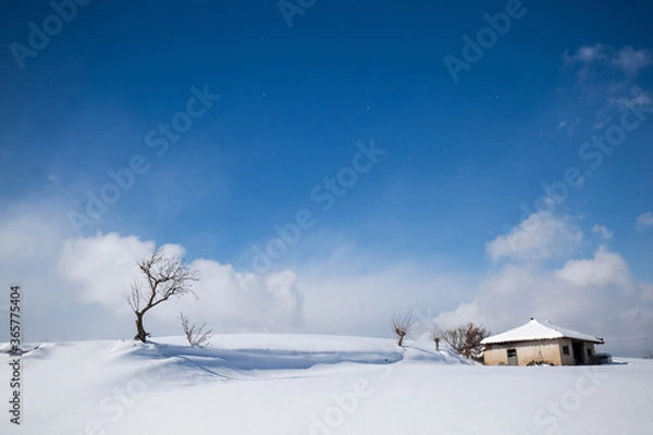 Fototapeta snow-covered landscape