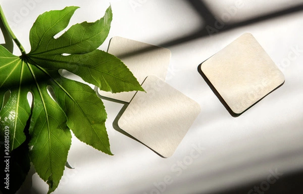 Fototapeta coasters with shadows and a plant